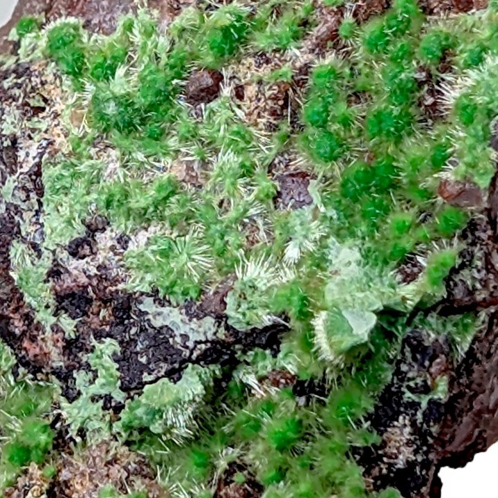 Cuprosklodowskite, Mine Musonoi, Congo, 12 grammes