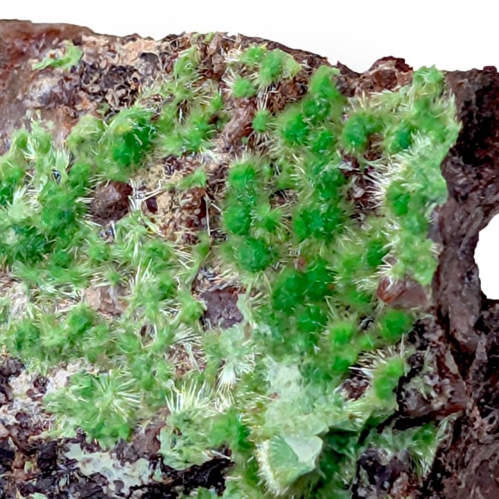 Cuprosklodowskite, Mine Musonoi, Congo, 12 grammes