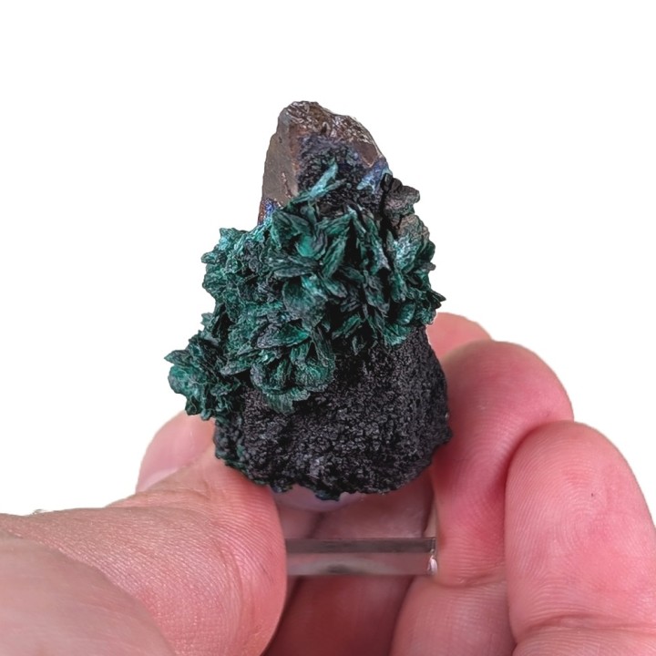 Malachite, quartz, M'SSici, Maroc, 28 grammes