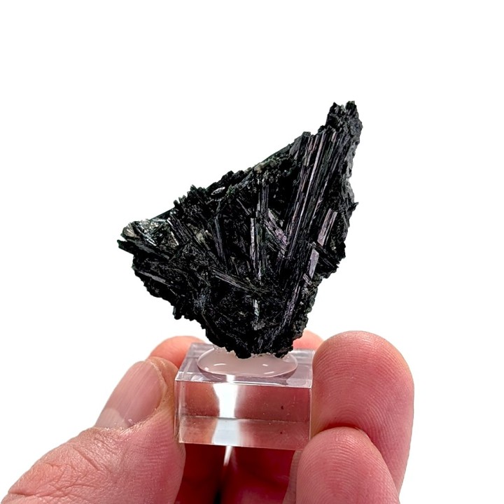 Epidote, Knappenwand, Autriche, 17 grammes