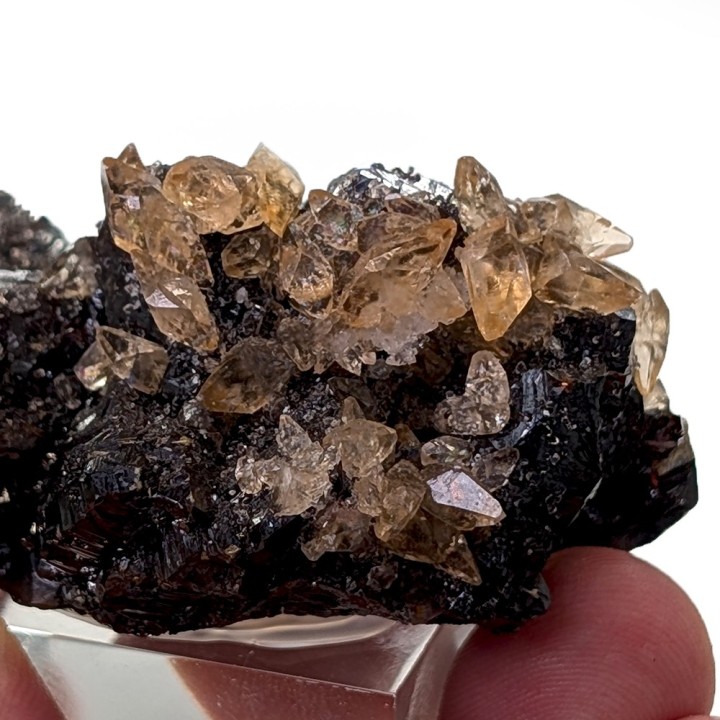 Sphalerite, calcite, Elmwood mine, United States, 112 grams
