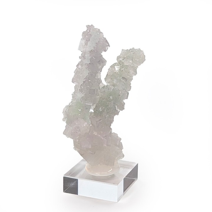 Apophyllite, Pune, Inde, 43 grammes