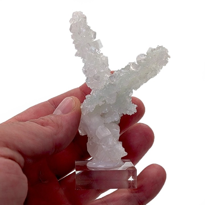 Apophyllite, Pune, Inde, 43 grammes