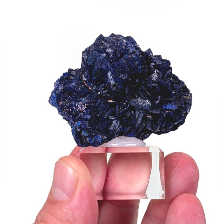 Azurite, Mine de Chessy, France, 5,1 cm