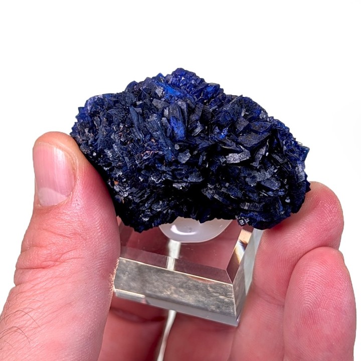Azurite, Chessy Mine, France, 5.1 cm