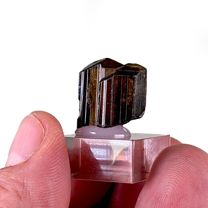 Enstatite, Kilosa, Tanzanie, 1,6 cm