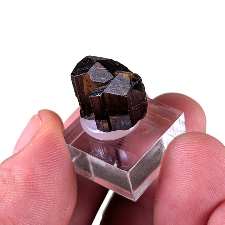 Enstatite, Kilosa, Tanzanie, 1,6 cm