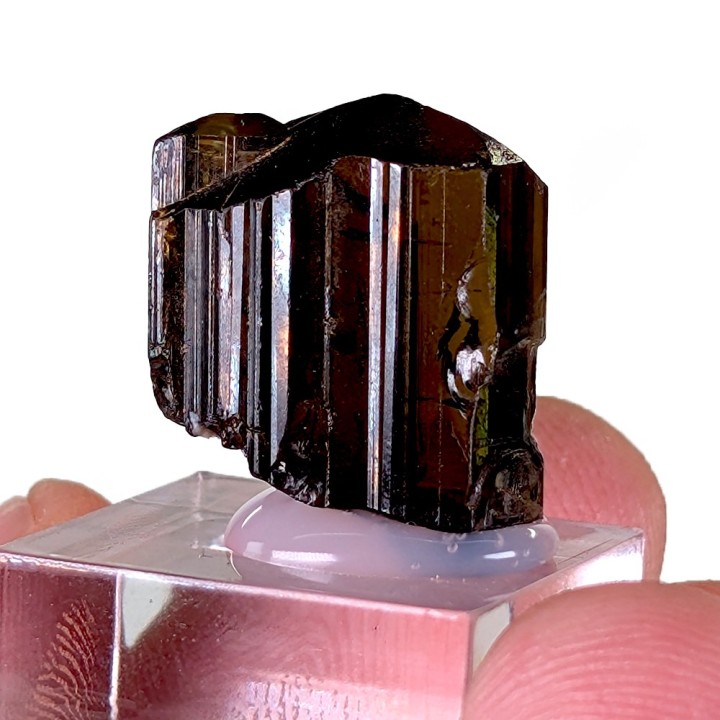 Enstatite, Kilosa, Tanzanie, 1,6 cm