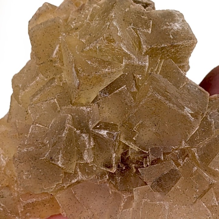 Fluorite, Mine Moscona, Espagne, 146 grammes