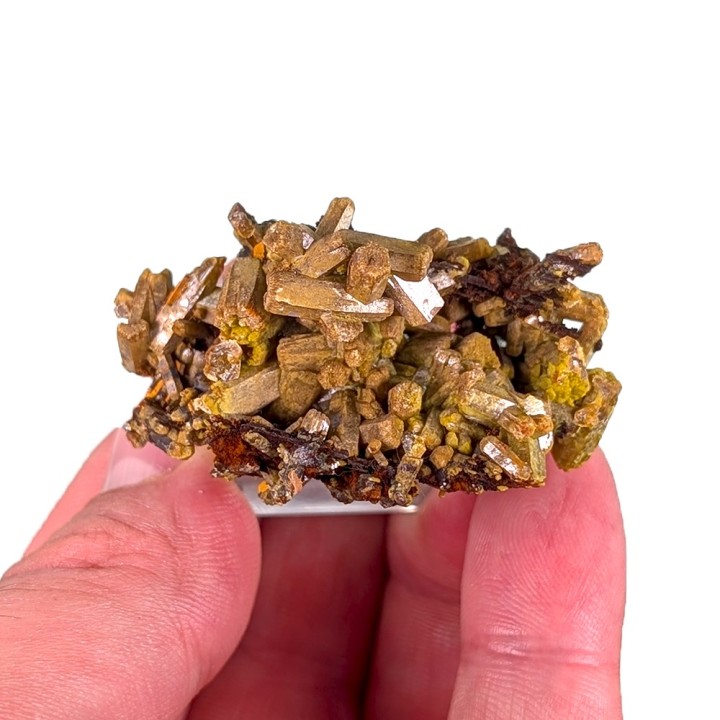 Pyromorphite, baryte, Les Farges, France, 36 grammes