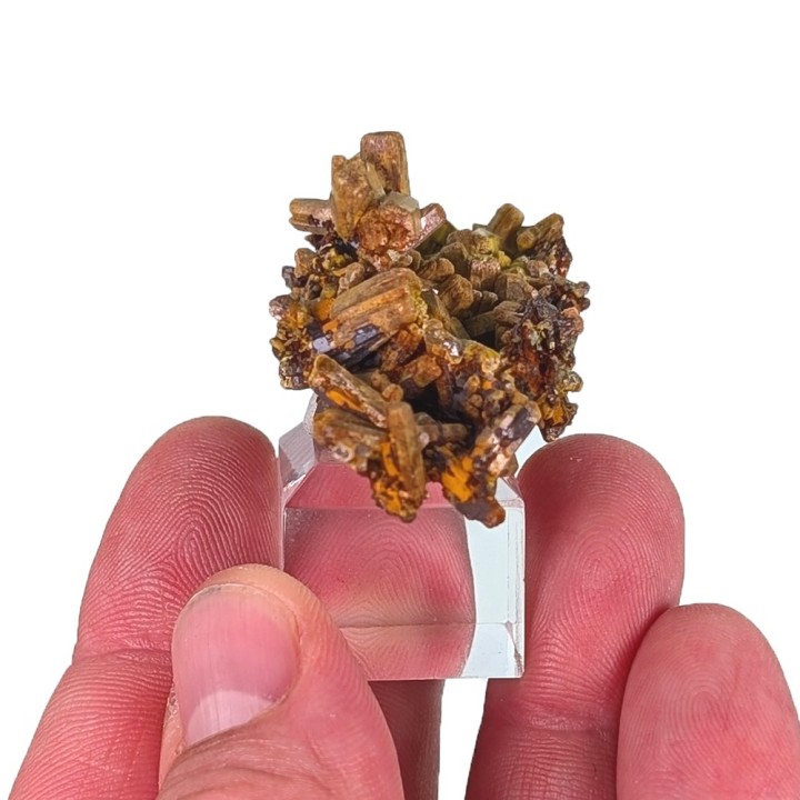 Pyromorphite, baryte, Les Farges, France, 36 grams