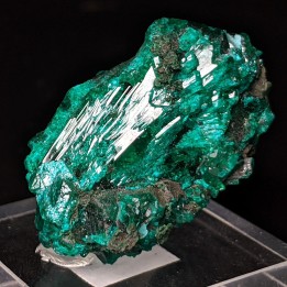 Dioptase, Rep. Of Congo, 2.9 cm