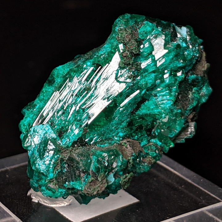 Dioptase, Rep. Of Congo, 2.9 cm