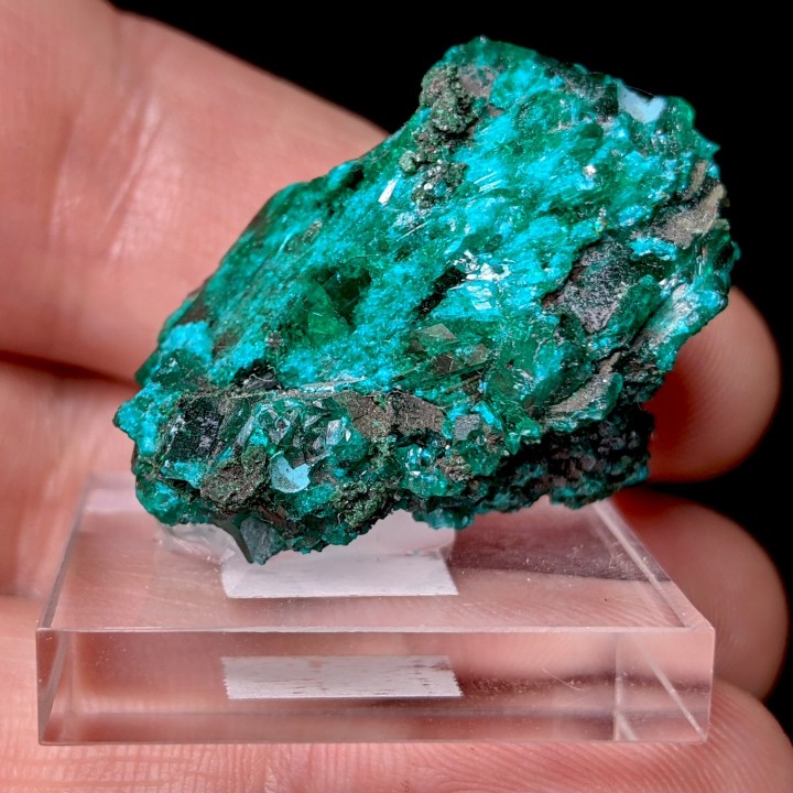 Dioptase, Rep. Of Congo, 2.9 cm