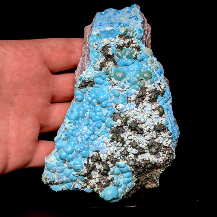 Chrysocolle, Lubumbashi, Congo, 473 g