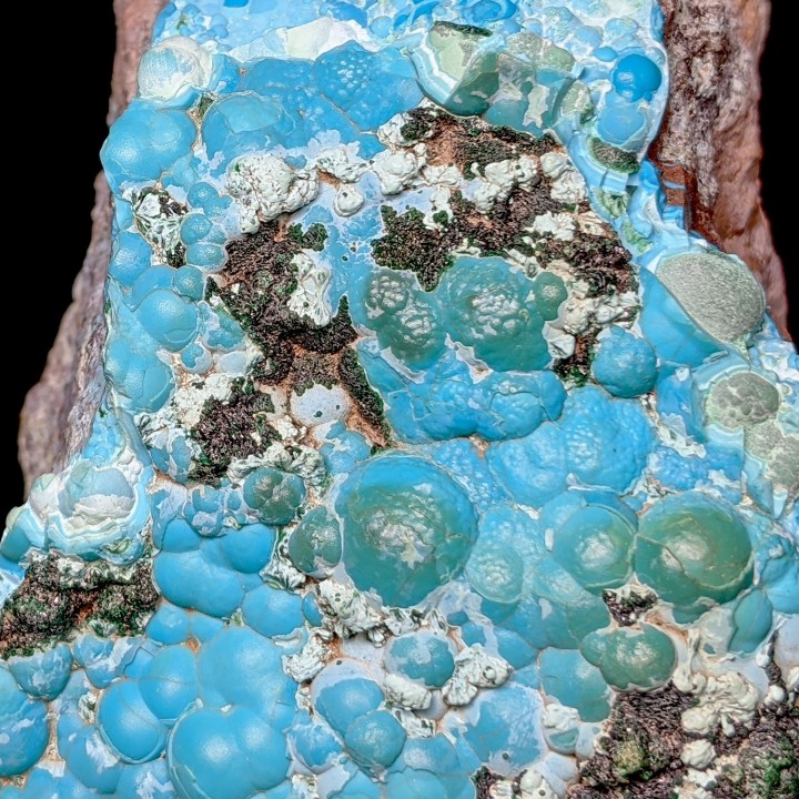 Chrysocolle, Lubumbashi, Congo, 473 g