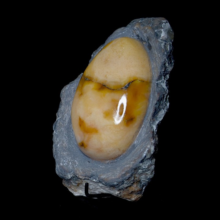 Gypse poli, Mâlain, France, 572 g
