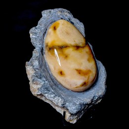 Gypse poli, Mâlain, France, 572 g