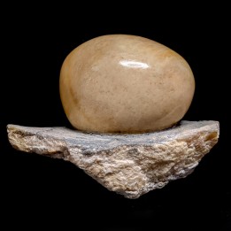 Polished gypsum, Mâlain, France, 370 g