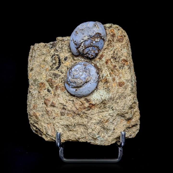 Helix ramondi, lussatite, Dallet, France, 271 g
