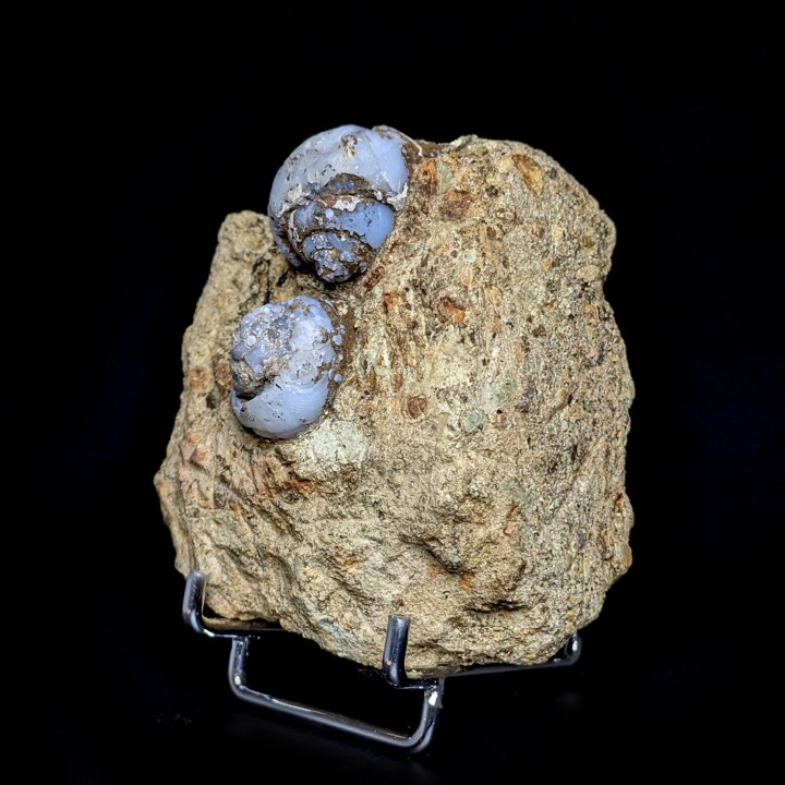 Helix ramondi, lussatite, Dallet, France, 271 g
