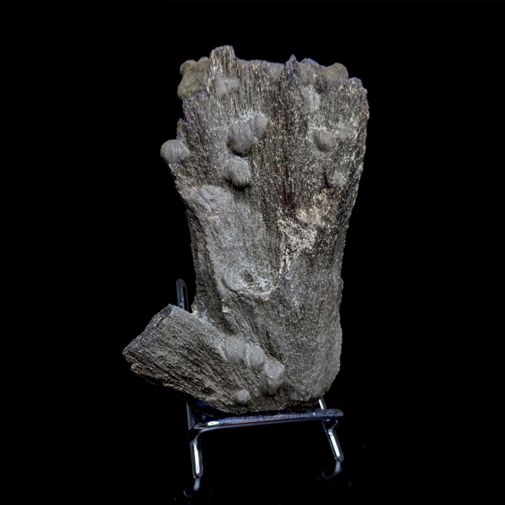 Berthiérite, mine d'Herja, Roumanie, 237 g