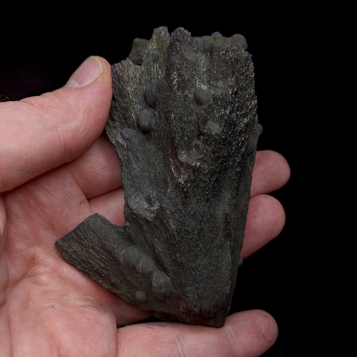 Berthiérite, mine d'Herja, Roumanie, 237 g