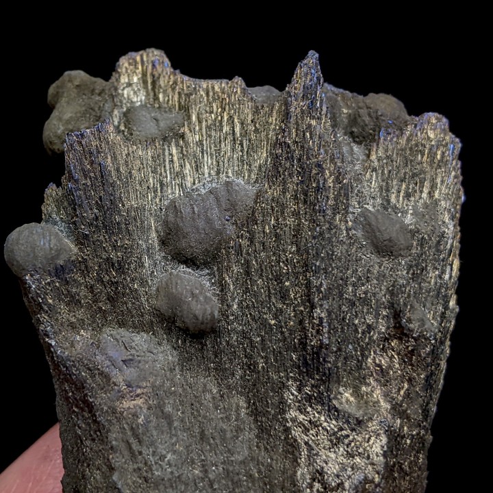 Berthierite, Herja mine, Romania, 237 g